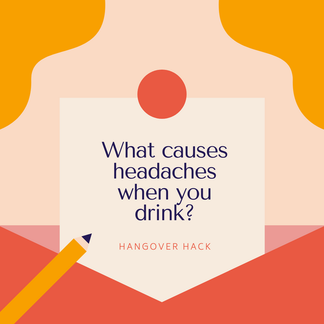 What Causes Headaches When Drinking? | Hangover Hack – Modern Herbs
